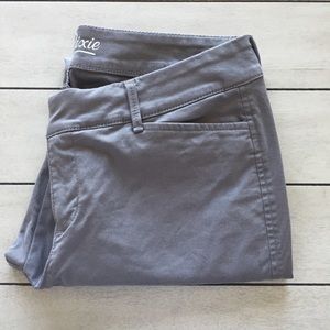 Light Grey Pixie Chino Pant